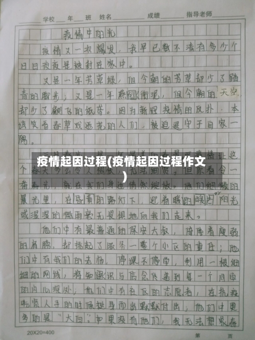 疫情起因过程(疫情起因过程作文)