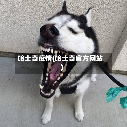 哈士奇疫情(哈士奇官方网站)