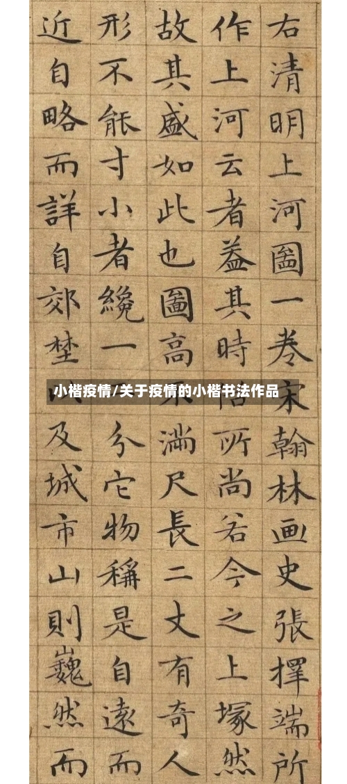 小楷疫情/关于疫情的小楷书法作品