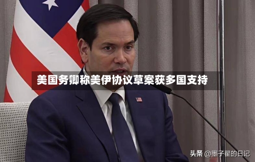 美国务卿称美伊协议草案获多国支持