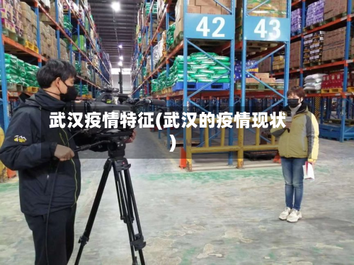 武汉疫情特征(武汉的疫情现状)