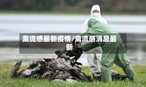 禽流感最新疫情/禽流感消息最新