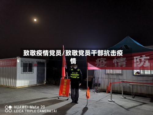 致敬疫情党员/致敬党员干部抗击疫情