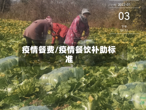 疫情餐费/疫情餐饮补助标准