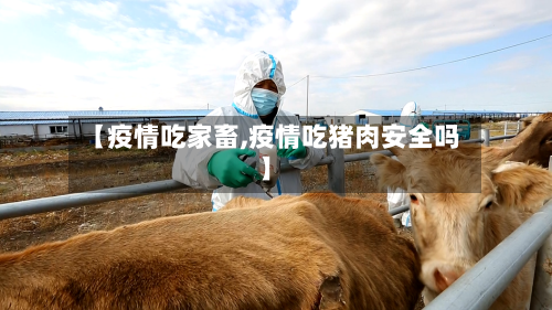 【疫情吃家畜,疫情吃猪肉安全吗】