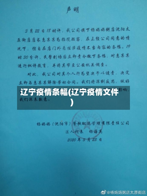 辽宁疫情条幅(辽宁疫情文件)