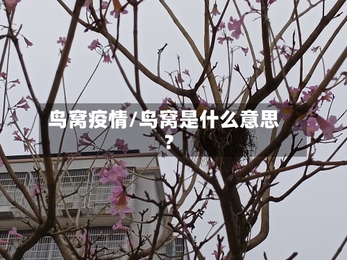 鸟窝疫情/鸟窝是什么意思?
