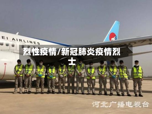 烈性疫情/新冠肺炎疫情烈士