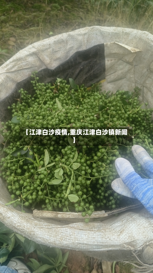 【江津白沙疫情,重庆江津白沙镇新闻】