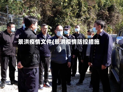 景洪疫情文件(景洪疫情防控措施)