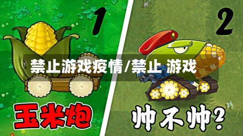 禁止游戏疫情/禁止 游戏