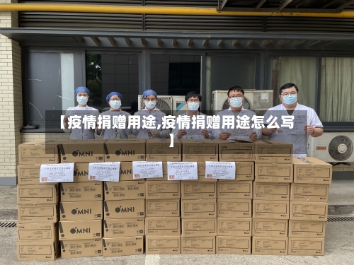 【疫情捐赠用途,疫情捐赠用途怎么写】