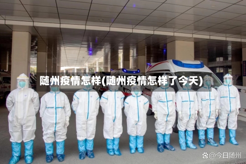 随州疫情怎样(随州疫情怎样了今天)