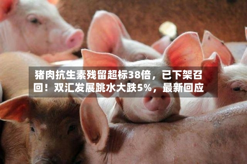 猪肉抗生素残留超标38倍，已下架召回！双汇发展跳水大跌5%，最新回应