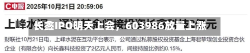 长鑫IPO明天上会，603986放量上涨