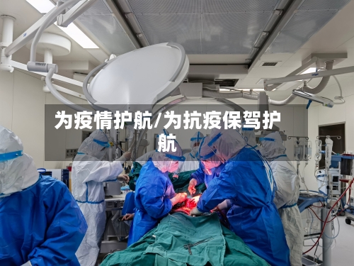 为疫情护航/为抗疫保驾护航