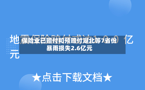 保险业已赔付和预赔付湖北等7省份暴雨损失2.6亿元