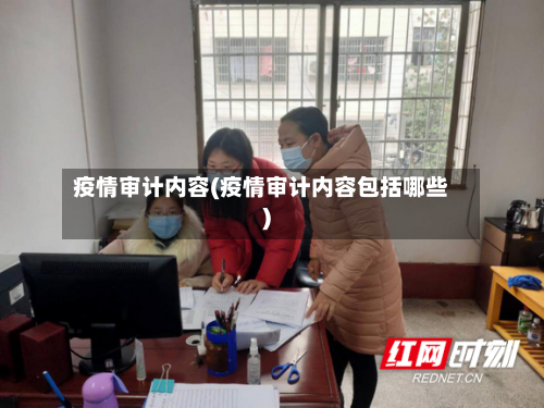 疫情审计内容(疫情审计内容包括哪些)