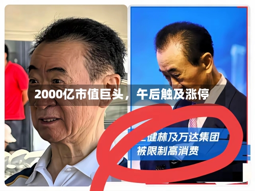 2000亿市值巨头，午后触及涨停