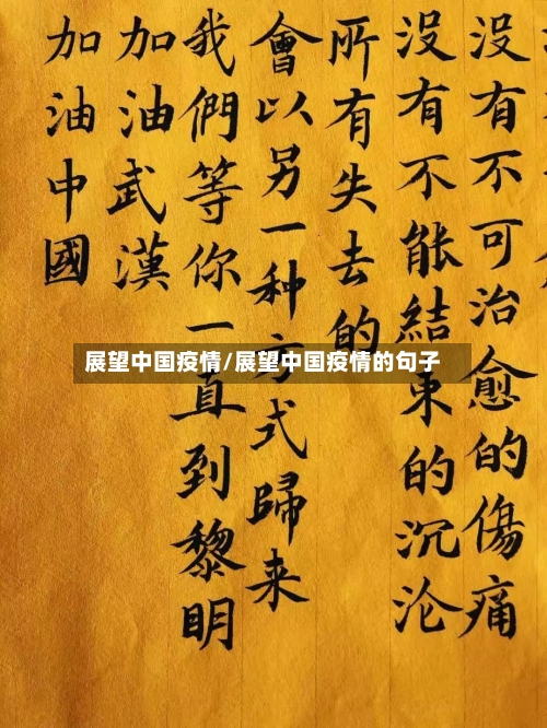 展望中国疫情/展望中国疫情的句子