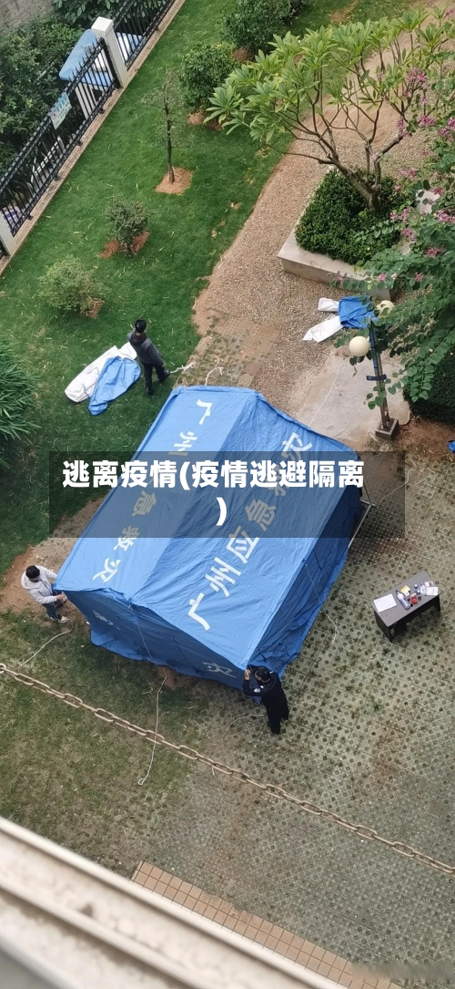 逃离疫情(疫情逃避隔离)