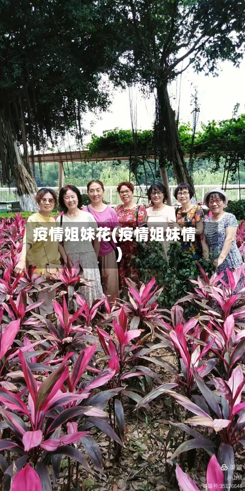 疫情姐妹花(疫情姐妹情)