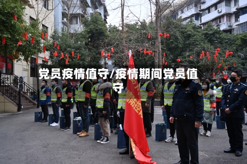 党员疫情值守/疫情期间党员值守