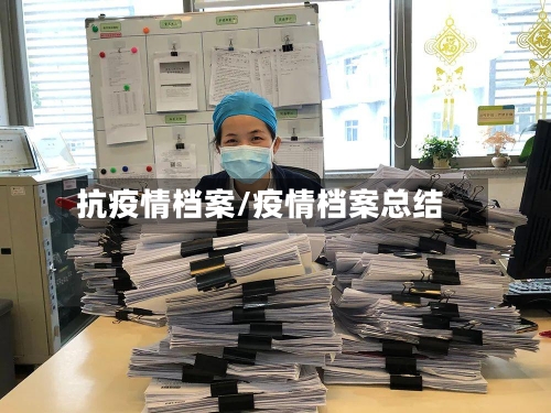 抗疫情档案/疫情档案总结
