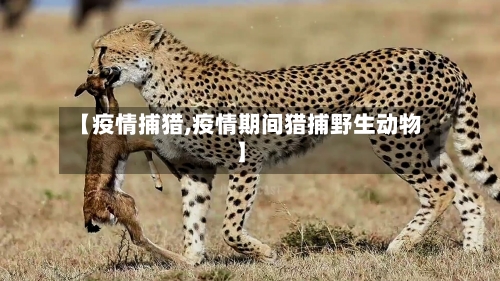 【疫情捕猎,疫情期间猎捕野生动物】
