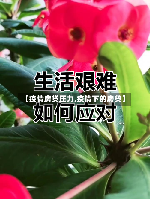 【疫情房贷压力,疫情下的房贷】