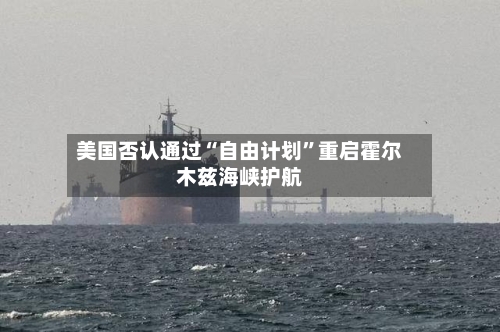 美国否认通过“自由计划”重启霍尔木兹海峡护航