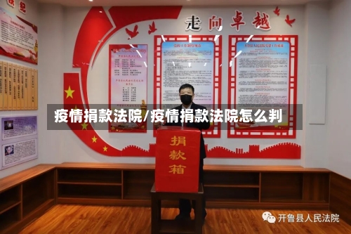 疫情捐款法院/疫情捐款法院怎么判
