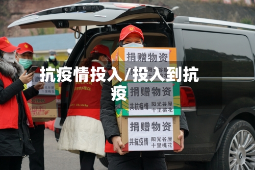 抗疫情投入/投入到抗疫