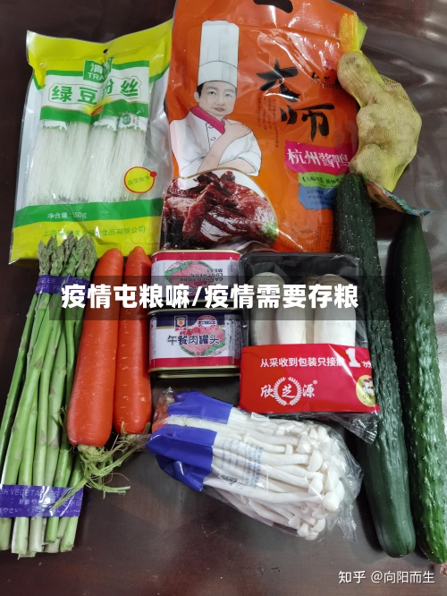 疫情屯粮嘛/疫情需要存粮