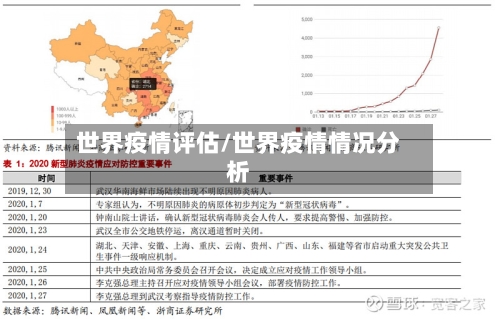 世界疫情评估/世界疫情情况分析