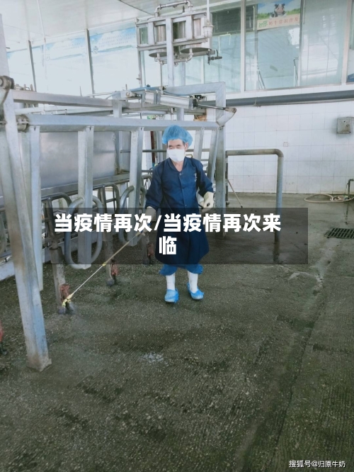当疫情再次/当疫情再次来临