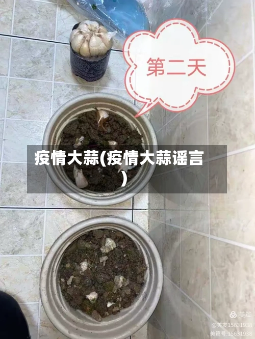 疫情大蒜(疫情大蒜谣言)
