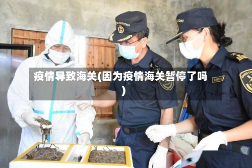 疫情导致海关(因为疫情海关暂停了吗)
