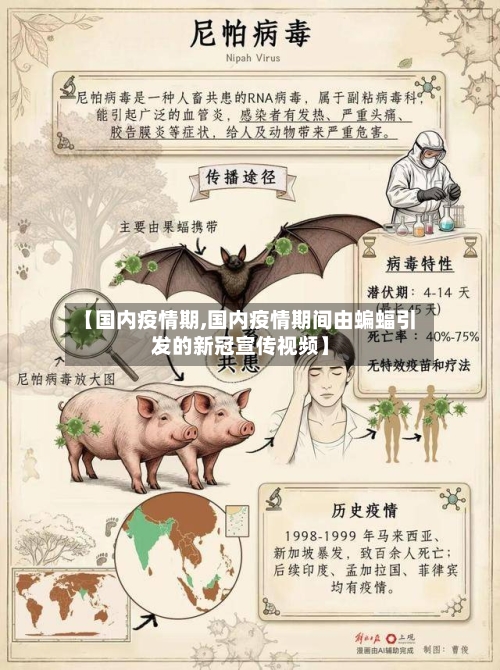 【国内疫情期,国内疫情期间由蝙蝠引发的新冠宣传视频】