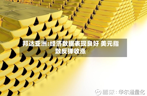 邦达亚洲:经济数据表现良好 美元指数反弹收涨
