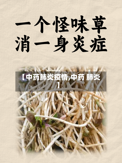 【中药肺炎疫情,中药 肺炎】