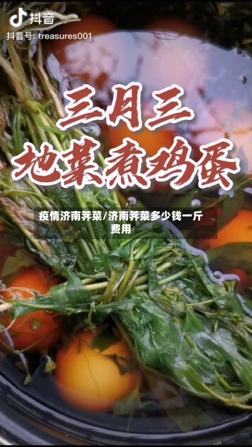 疫情济南荠菜/济南荠菜多少钱一斤费用