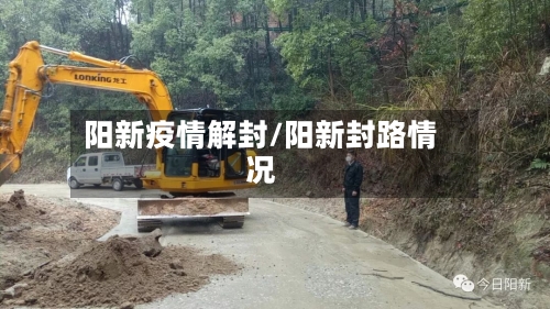 阳新疫情解封/阳新封路情况
