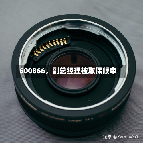 600866，副总经理被取保候审