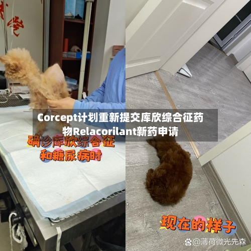 Corcept计划重新提交库欣综合征药物Relacorilant新药申请