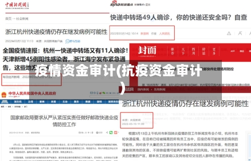 疫情资金审计(抗疫资金审计)