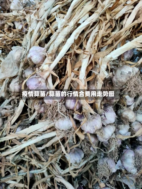 疫情蒜苗/蒜苗的行情合费用走势图