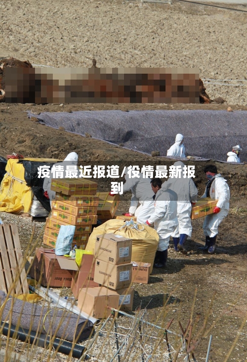 疫情最近报道/役情最新报到