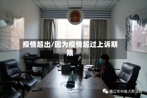 疫情超出/因为疫情超过上诉期限