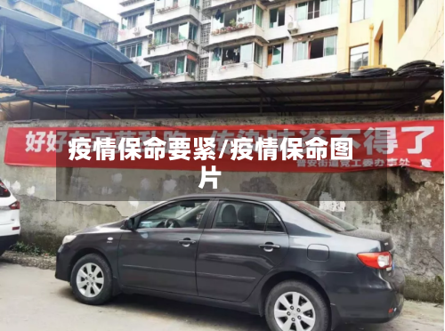 疫情保命要紧/疫情保命图片
